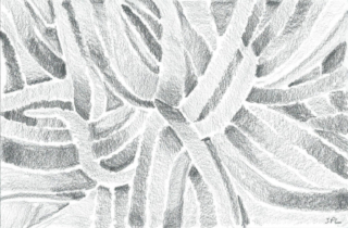 "Dégradés"- graphite "Dégradés"- graphite - Sarah Pierre-Louis