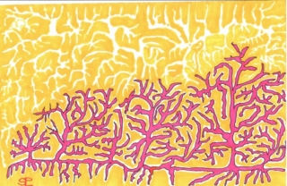 "Algues roses" - feutres, brush "Algues roses" - feutres, brush - Sarah Pierre-Louis