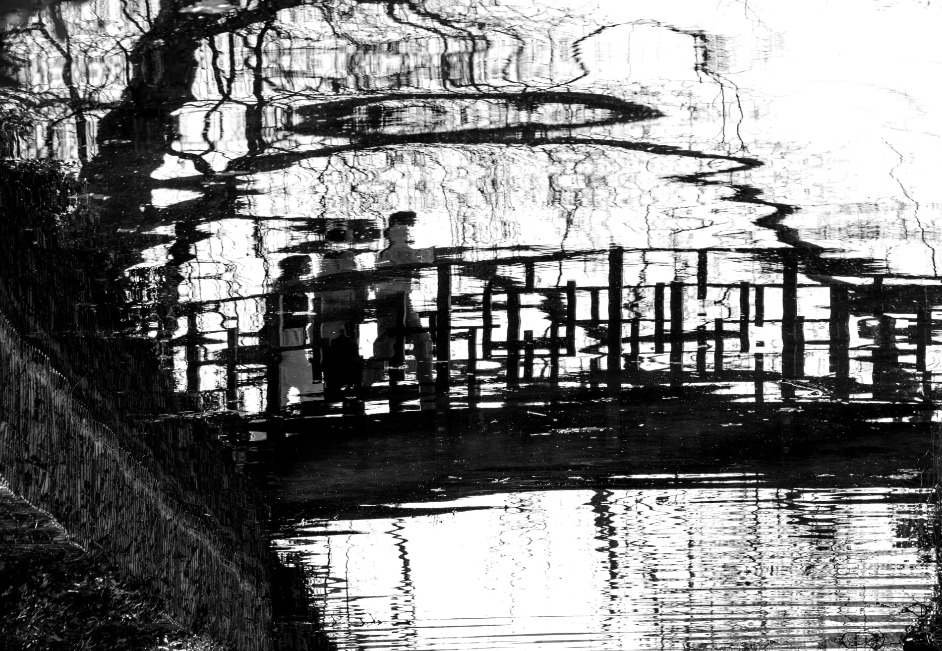 "Pont Japonais" - 2021 - Christophe Mercier