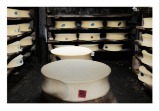 9-série ma vie de fromage